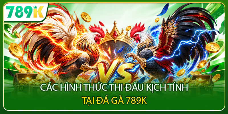 Các hình thức thi đấu kịch tính tại đá gà 789K